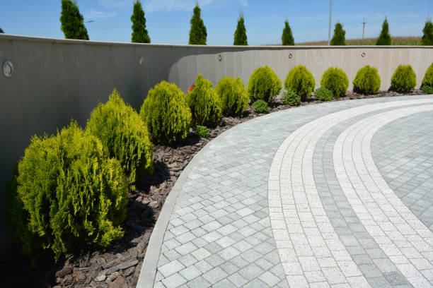 Best Local Driveway Pavers  in St Anthony, ID